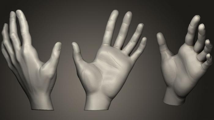 نموذج ثلاثي الأبعاد لآلة CNC تشريح الهياكل العظمية والجماجم دراسة تشريح اليدين